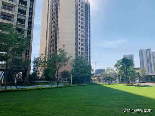 大开眼界 城北明星盘做得很走心,这才是真正的匠心产品