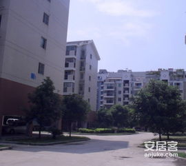 金建 小区小区照片