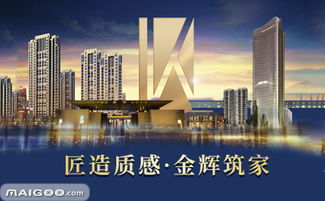 金辉怎么样