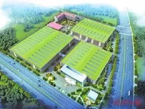 三甲医院 国际学校 福州这个区域越来越火 今年已完成项目投资37亿元