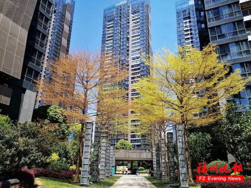 有你小区吗 福州31家物业企业获评 五星级物业