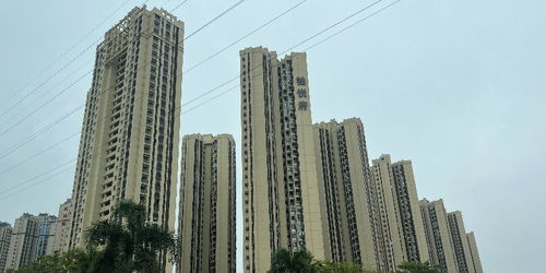 广东惠州楼盘降价潮与福州房地产发展态势分析
